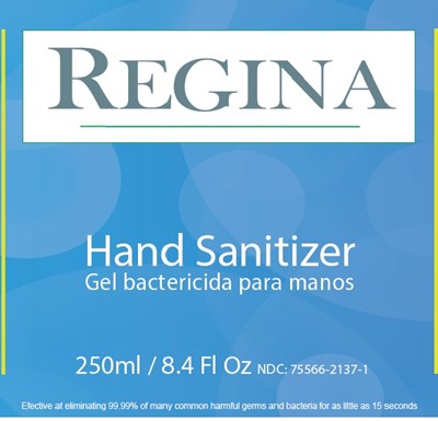250 mL Front Panel (Hand Sanitizer Ndc 75566 2137 1 Front Panel)